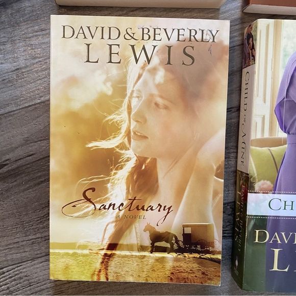 David & Beverly Lewis Amish Novel Books - Picture 3 of 7